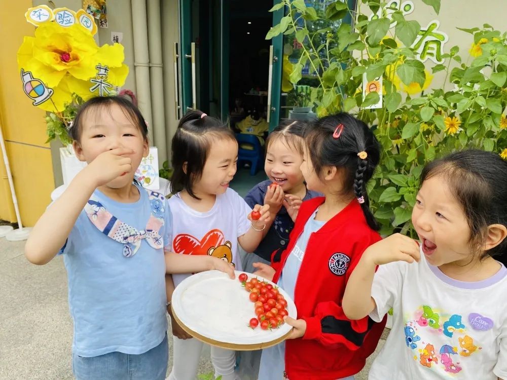 遇见自然，收获美好——一幼开展自然角交流评比活动