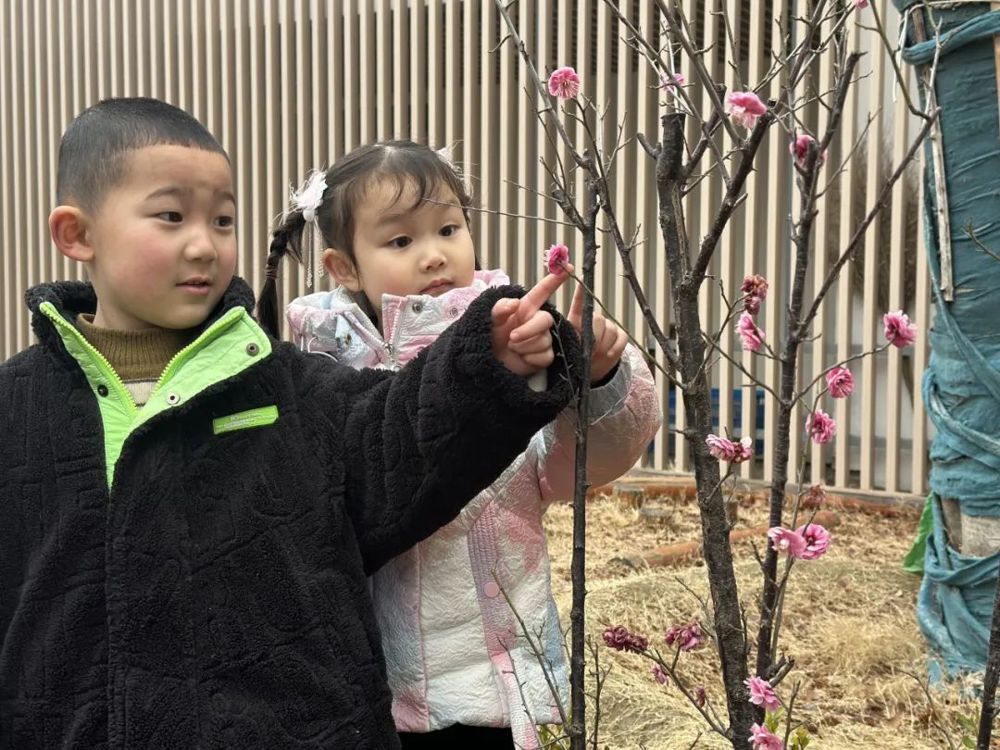 b914489f31e949e0992b3c5473813c94.jpg b914489f31e949e0992b3c5473813c94.jpg