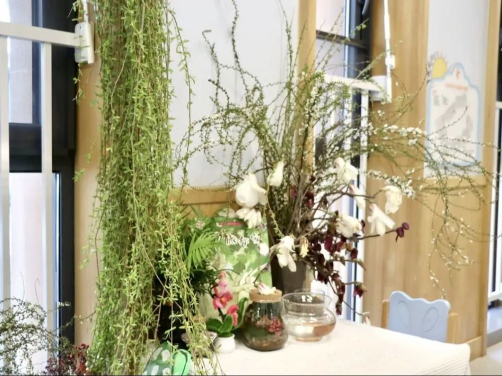 海安一幼：游戏 点亮幼儿探索的童年